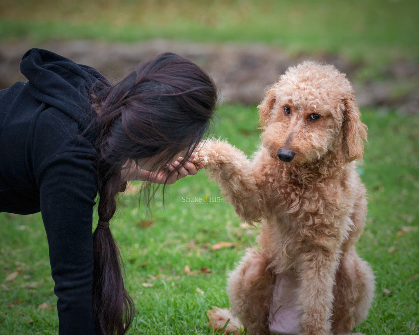 Dog Pilates🐶🧘♀️ 和狗狗一起做普拉提