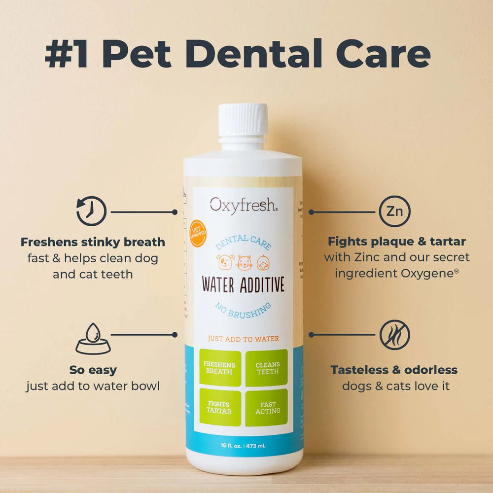 Premium Pet Dental Water Additive | Easiest Way to Eliminate Dog and Cat Bad Breath