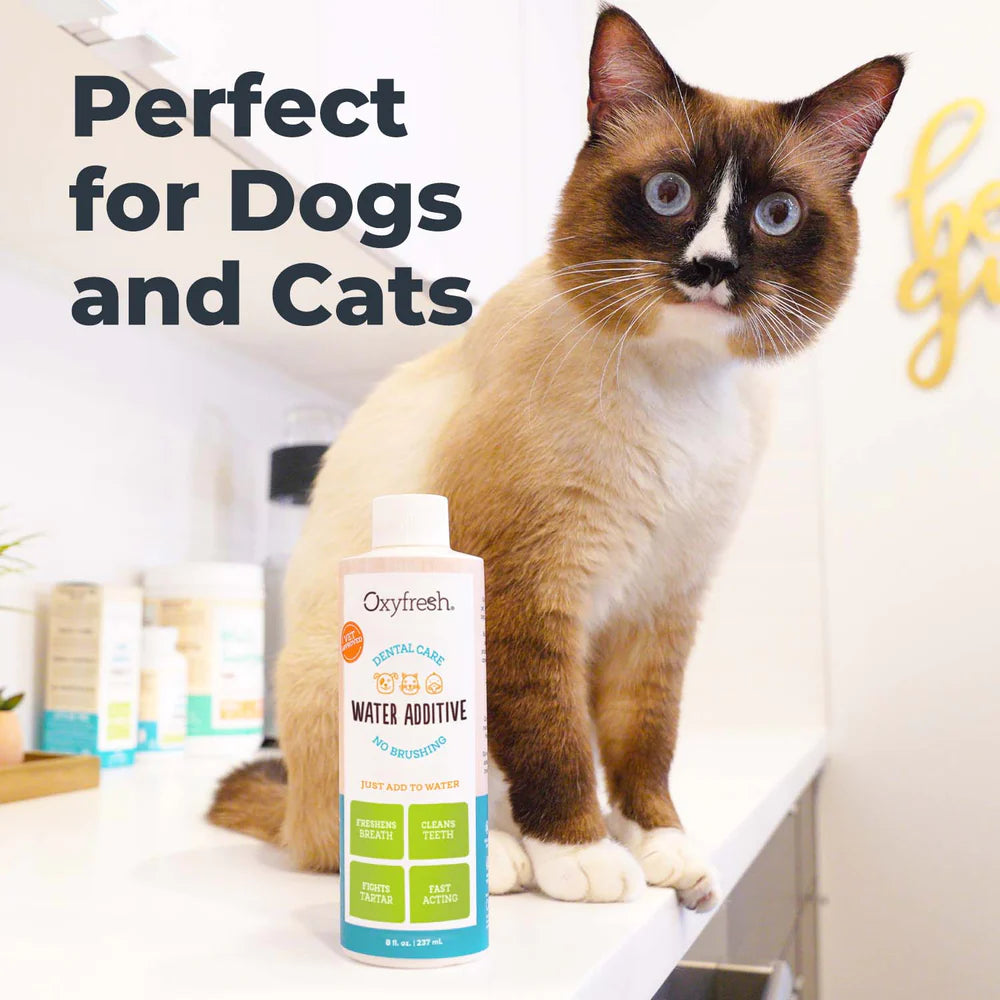 Premium Pet Dental Water Additive | Easiest Way to Eliminate Dog and Cat Bad Breath