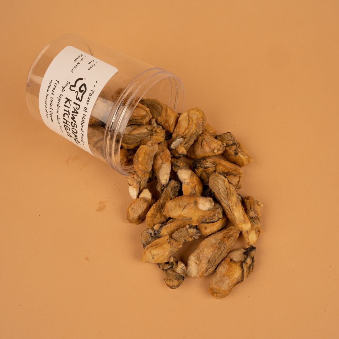 Premium Freeze Dried Oyster by Pawsome Kitchen